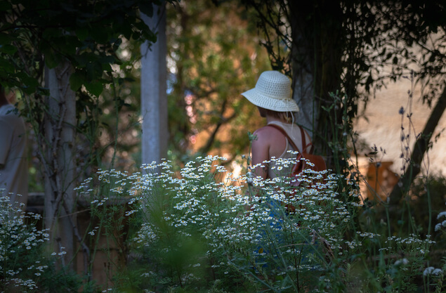 quietud musical web